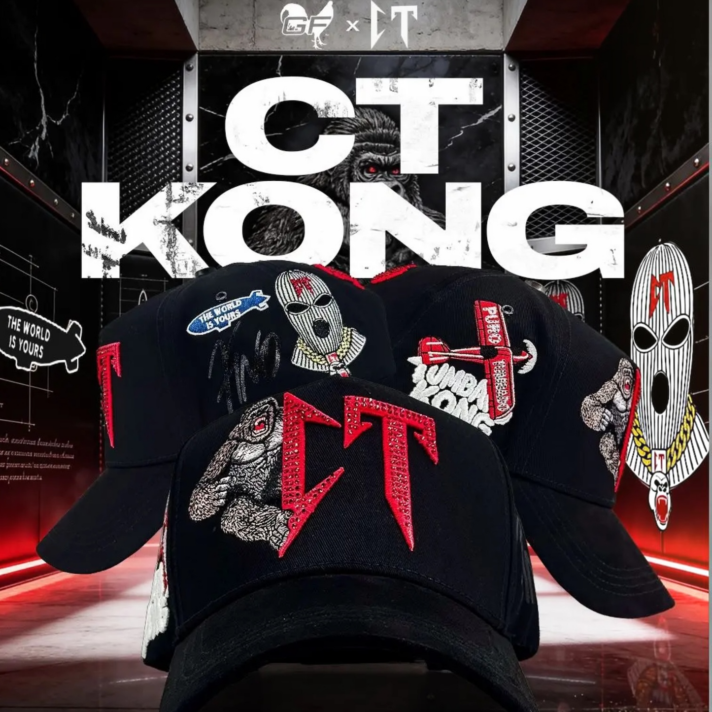 “CT Kong” (Gallo Fino) x CT FULL SET