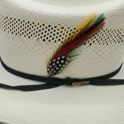 Pluma Stetson (Stetson Hat Feathers) (2 Pack)