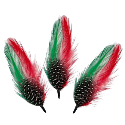 Pluma Stetson (Bandera Mexicana) Paquete de 3 (3 pack)