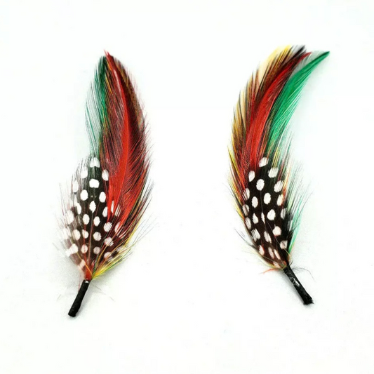 Pluma Stetson (Stetson Hat Feathers) (2 Pack)